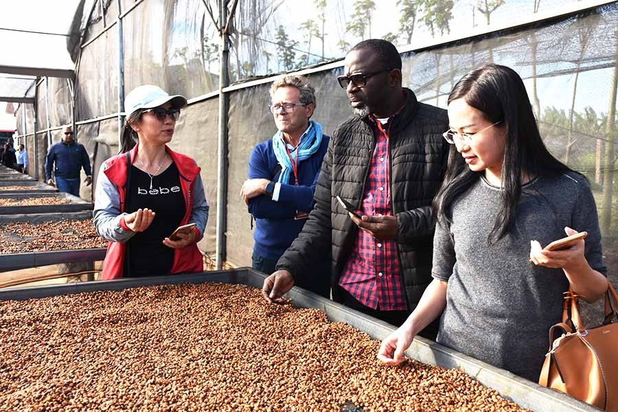 Tính đường dài để cà phê Việt chiếm lĩnh thị trường châu Phi