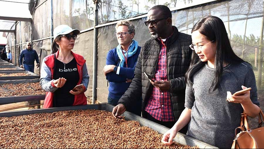 Tính đường dài để cà phê Việt chiếm lĩnh thị trường châu Phi