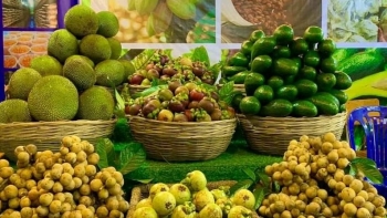 TP. Hồ Chí Minh: Hướng mục tiêu vào phát triển xuất khẩu xanh, bền vững