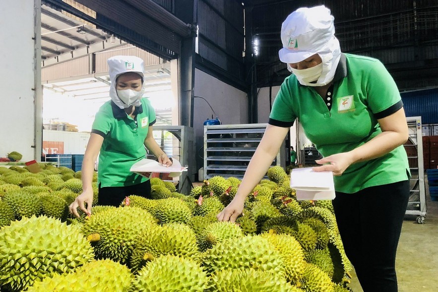 Xuất khẩu nông, lâm, thủy sản khởi sắc về giá bán và thị trường