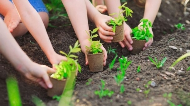 Bộ Tài chính hưởng ứng “Tết trồng cây đời đời nhớ ơn Bác Hồ”