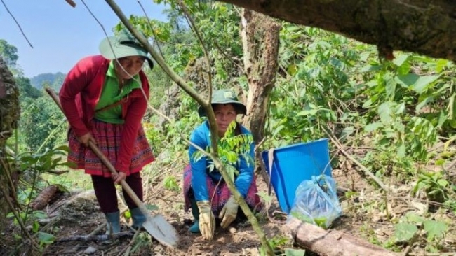 25 ha rừng tại Hòa Bình, Sơn La sẽ được phục hồi từ GivingLunch