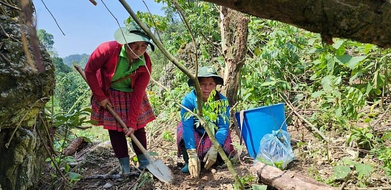 25 ha rừng tại Hòa Bình, Sơn La sẽ được phục hồi từ GivingLunch