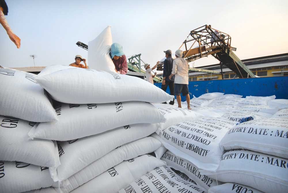 Nhiều cơ hội xuất khẩu gạo vào thị trường Trung Quốc năm 2024