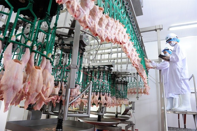 Các hiệp hội kiến nghị kiểm soát chặt vấn đề nhập khẩu sản phẩm chăn nuôi