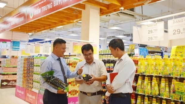 Sustainable supply chains to help reinforce foothold of Vietnamese goods
