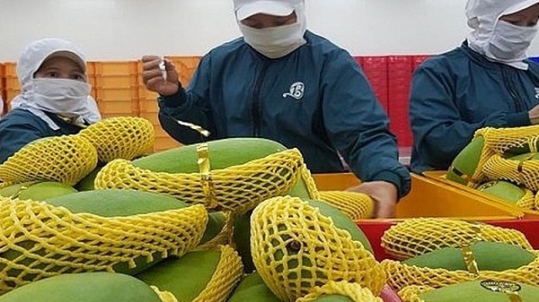 Rau quả Việt xuất khẩu nhiều nhất sang Thái Lan trong khu vực ASEAN