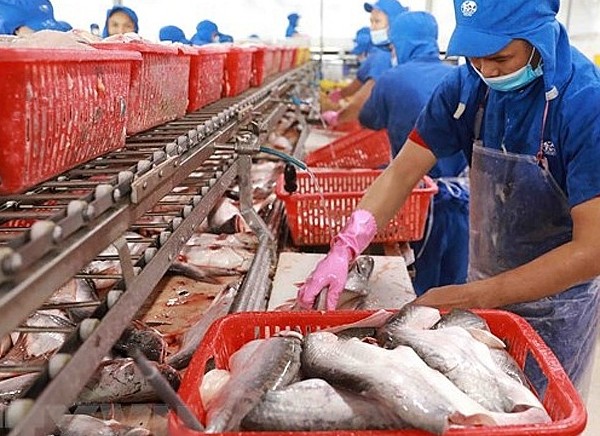 Trung Quốc, Hong Kong chi 75 triệu USD nhập khẩu cá tra Việt Nam