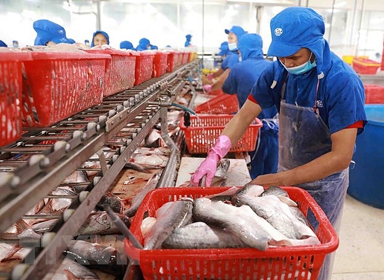 Trung Quốc chi 75 triệu USD nhập khẩu cá tra Việt Nam trong 2 tháng đầu năm