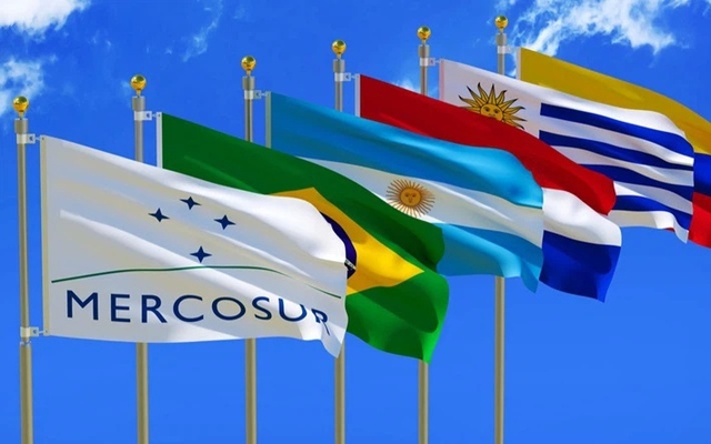 Viet Nam - important trade partner of Mercosur- Ảnh 1.