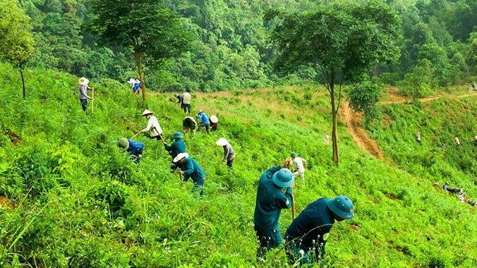 Giảm phát thải qua bảo tồn rừng, Việt Nam nhận 51,5 triệu USD từ WB