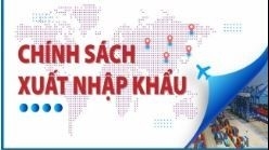 Kê khai mã miễn, giảm, không chịu thuế xuất nhập khẩu
