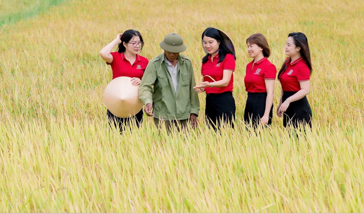 Agribank chủ lực cung ứng vốn cho đề án 1 triệu ha lúa chất lượng cao