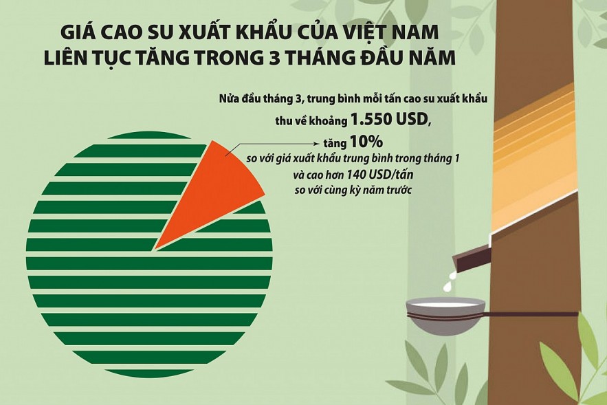 Giá cao su xuất khẩu sẽ biến động ra sao trong quý II/2024?