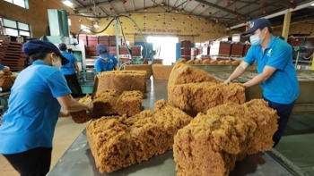 Vietnam earns 160 million USD from rubber exports in Feb