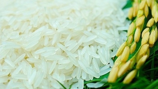 Ngày 23/3: Giá lúa gạo thị trường trong nước chưa ngừng đà giảm