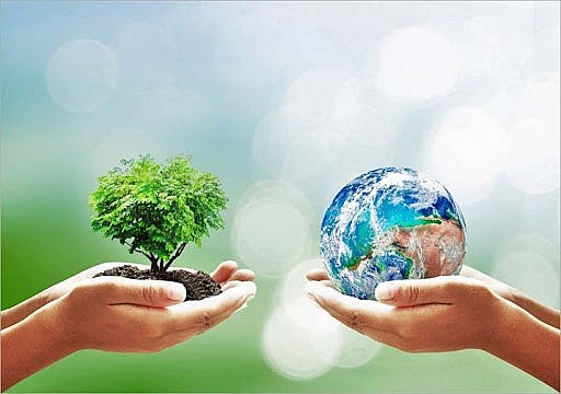 Bảo vệ môi trường: Hành động giảm dấu chân Carbon vì nền kinh tế xanh, bền vững