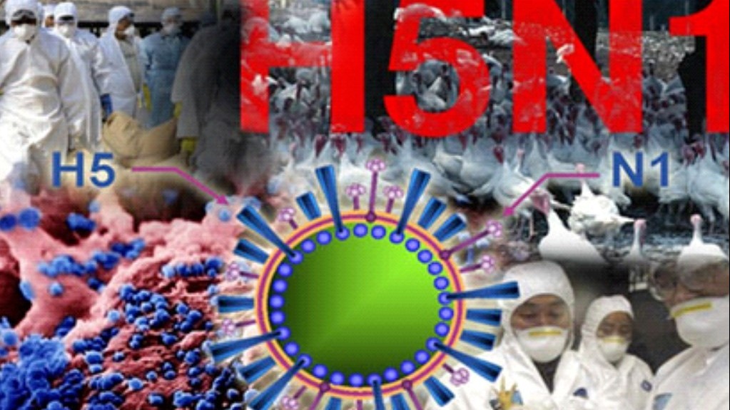 Người nhiễm cúm A/H5N1 thường tử vong với tỷ lệ cao khoảng 50%