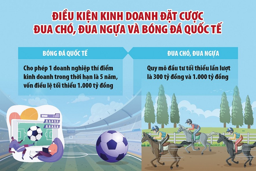 Chưa có doanh nghiệp được cấp phép cá cược bóng đá, đua ngựa, đua chó