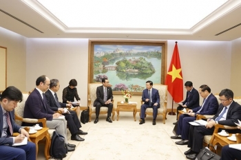 Vietnam, Japan promote financial mechanisms in green energy transition projects