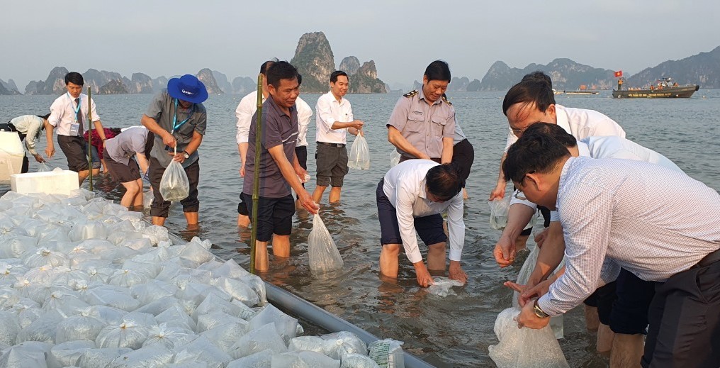 Bảo vệ nguồn lợi thủy sản, hướng tới phát triển xanh, bền vững, thân thiện môi trường