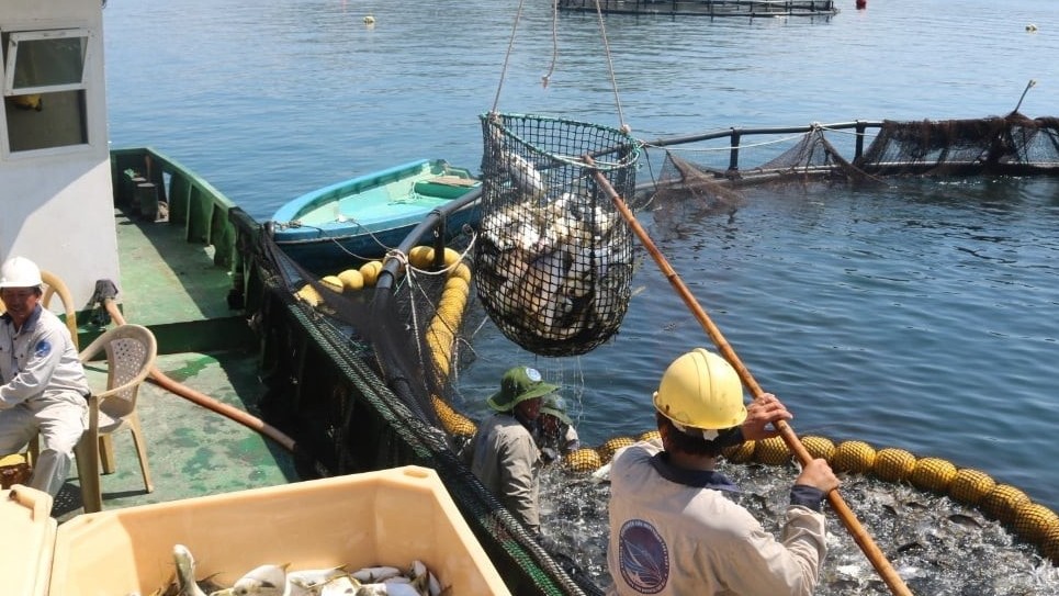 Việt Nam và Na Uy đều là nước có thế mạnh về xuất khẩu thủy sản