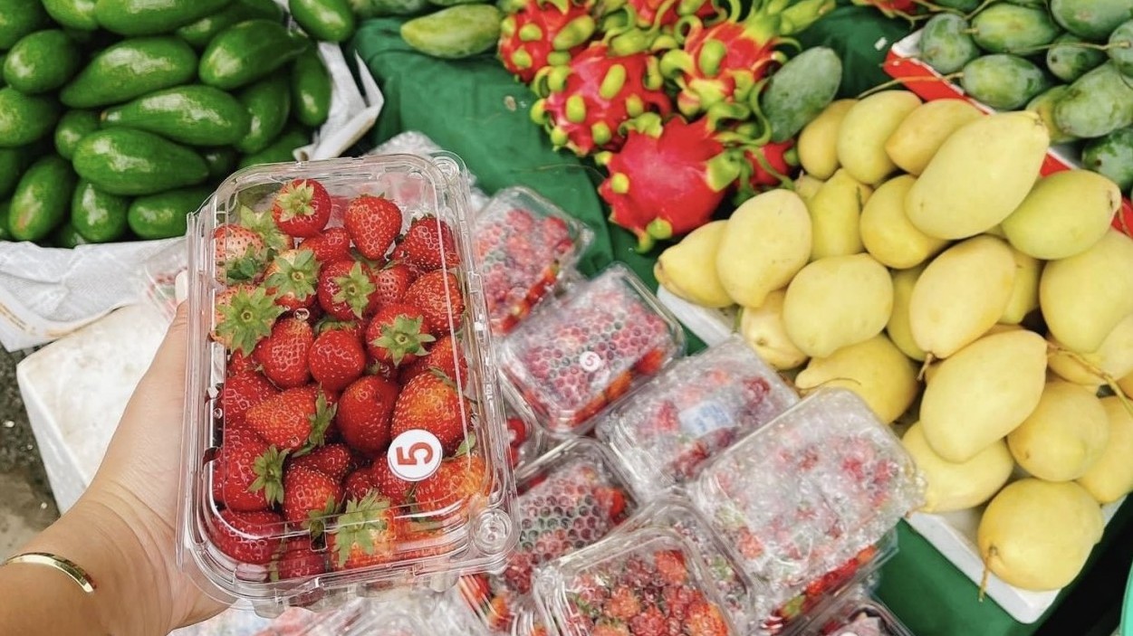 Hà Nội: Nhộn nhịp thị trường trái cây đầu hè