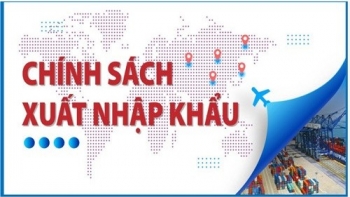 Thủ tục khai hải quan đối với hàng hóa xuất nhập khẩu tại chỗ