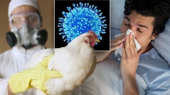 Bộ Y tế thông tin về ca mắc cúm A/H9 đầu tiên tại Việt Nam