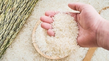 Ngày 9/4: Giá lúa gạo chững lại và đi ngang sau phiên biến động