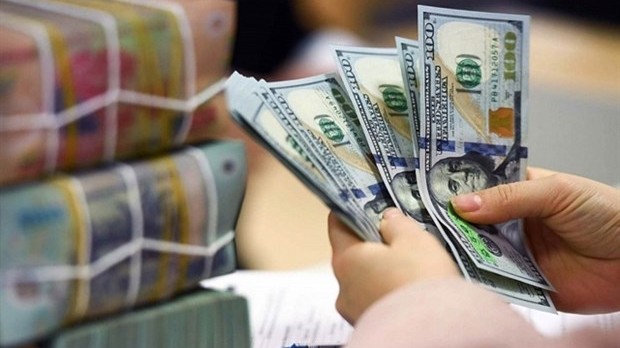 Vietnamese businesses concerned about dollar appreciation