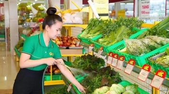 Cổ đông lớn mua 5% cổ phần Bách Hóa Xanh là ai?