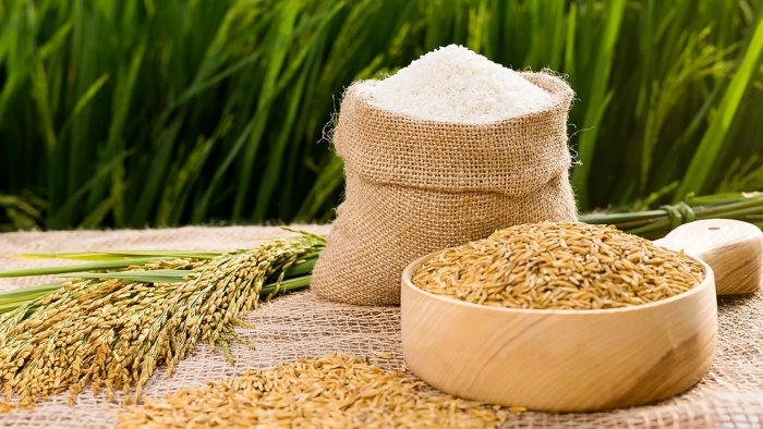 Giá lúa gạo hôm nay ngày 9/4: Nguồn ít, giá đồng loạt tăng với lúa và gạo