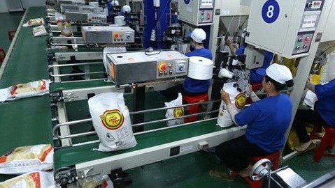 Chỉ số sản xuất công nghiệp IIP của TP. Hồ Chí Minh tăng 5,1% so với cùng kỳ