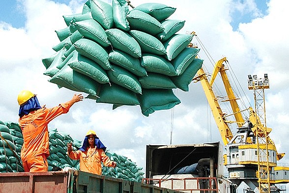 Ngày 12/4: Giá gạo trong nước và xuất khẩu duy trì ổn định
