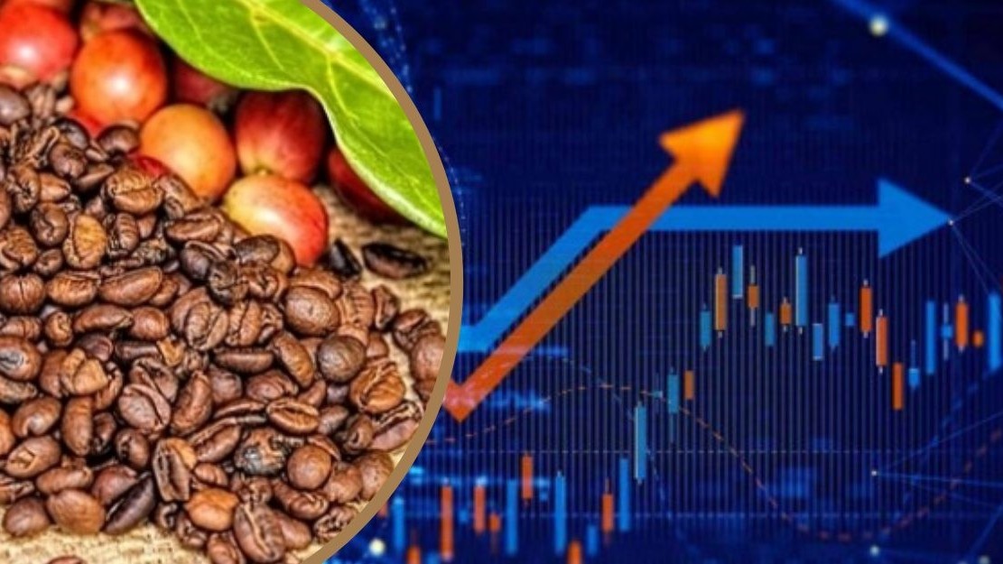 Ngày 13/4: Giá cà phê thế giới tiếp đà tăng mạnh, tiêu, cao su đồng loạt giảm
