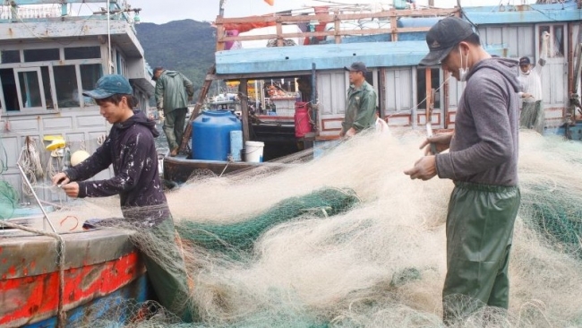 Xử phạt 12 nghìn lượt tàu cá vi phạm khai thác IUU