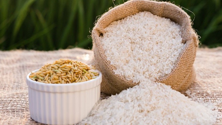Ngày 16/4: Giá gạo điều chỉnh tăng 150 - 250 đồng/kg, lúa giữ ổn định