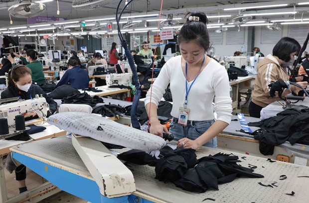 FDI flow into garment and textile sector bounces back hinh anh 1