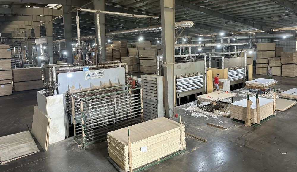 Doanh nghiệp gỗ dán Việt Nam lo phải đóng cửa vì thuế chống bán phá giá