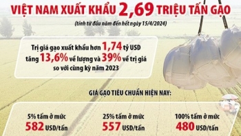 Giá gạo xuất khẩu Việt Nam dự báo vẫn duy trì ở mức cao