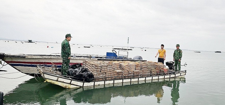 Quảng Ninh phát hiện tàu gỗ vận chuyển hơn 29.000 quả trứng nhập lậu