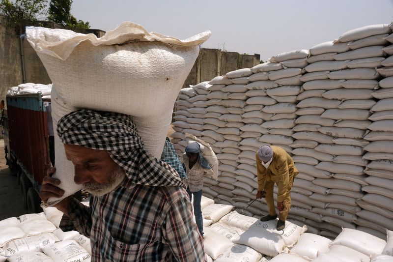 Thị trường nông sản tuần qua: Giá gạo và cà phê thế giới đồng loạt giảm