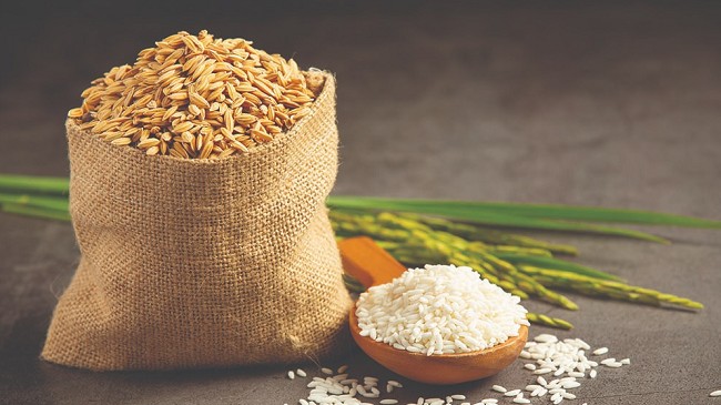 Ngày 1/5: Giá lúa gạo duy trì ổn định sau phiên điều chỉnh giảm
