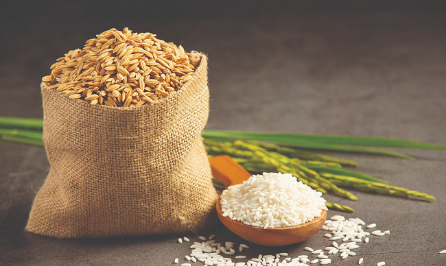 Ngày 1/5: Giá lúa gạo duy trì ổn định sau phiên điều chỉnh giảm