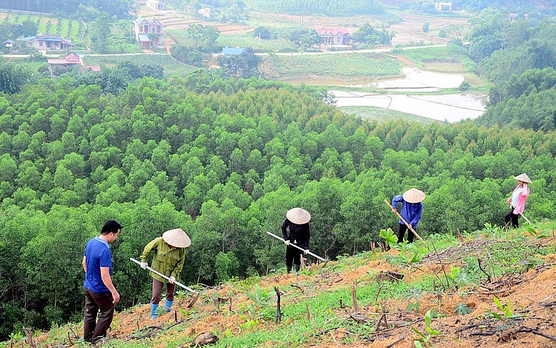 Vùng trung du và miền núi phía Bắc trở thành vùng phát triển xanh, bền vững