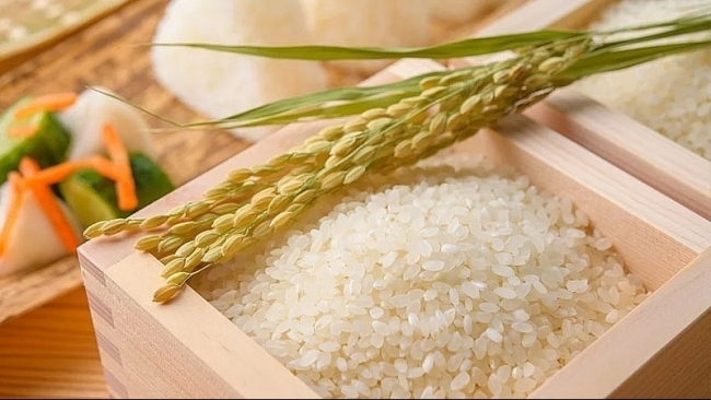 Ngày 6/5: Giá lúa gạo tiếp tục xu hướng đi ngang