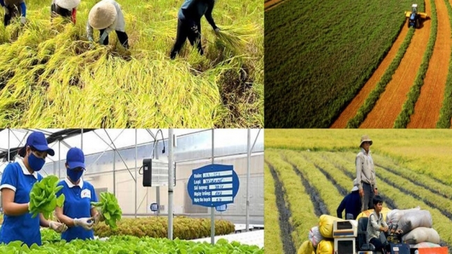 Việt Nam - Australia hợp tác nghiên cứu về nông nghiệp