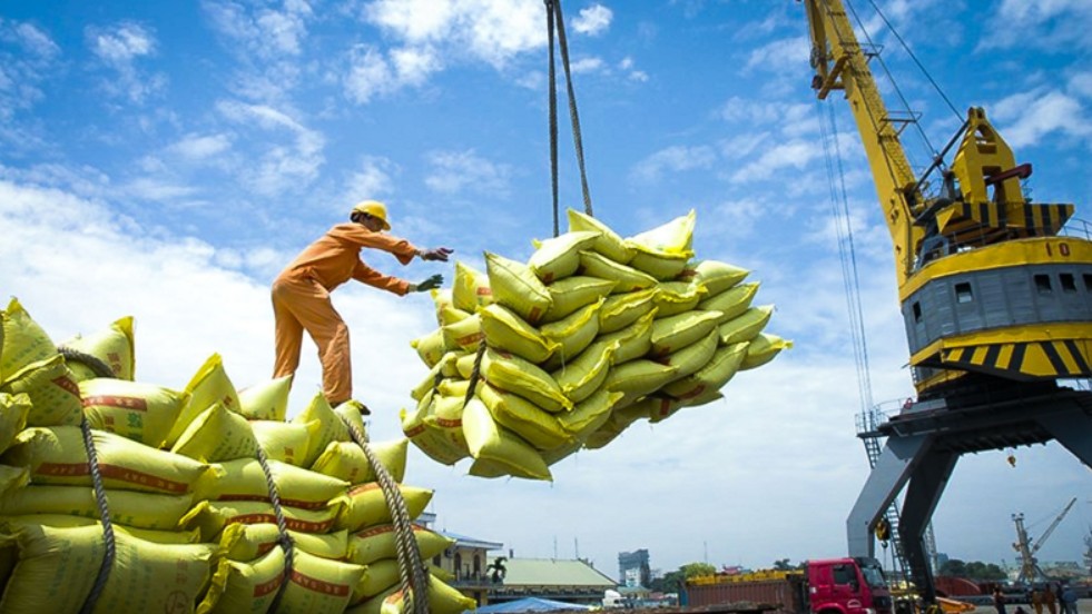 Ngày 12/5: Giá gạo tại thị trường xuất khẩu điều chỉnh tăng 2 - 10 USD/tấn