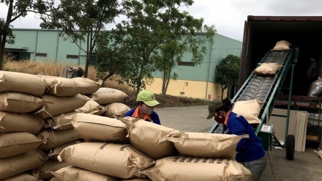 Gia Lai: 5 tháng xuất khẩu cà phê đạt 428 triệu USD